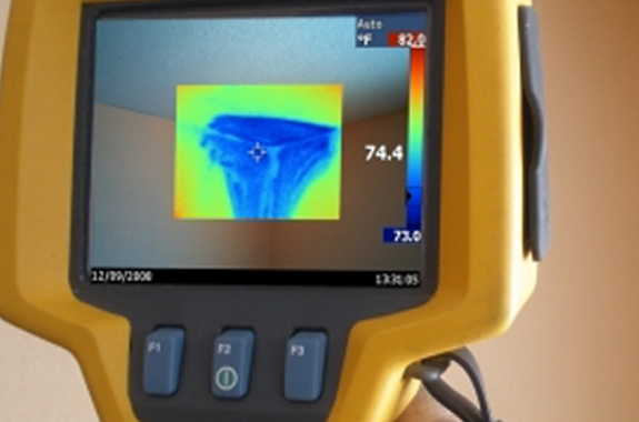 Trace & Access Survey